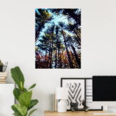 Schöne Pinienbäume im Herbst Poster (Heimbüro)