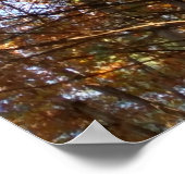 Schöne Pinienbäume im Herbst Poster (Ecke)