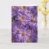 Schöne Pink Aster Grußkarte Karte (Gelbe Blume)