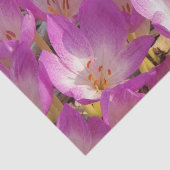 Schöne PInk Autumn Crocuses Floral Seidenpapier (Ausschnitt)