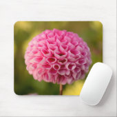 Schöne Pink Ball Dahlia Blume Mousepad (Mit Mouse)