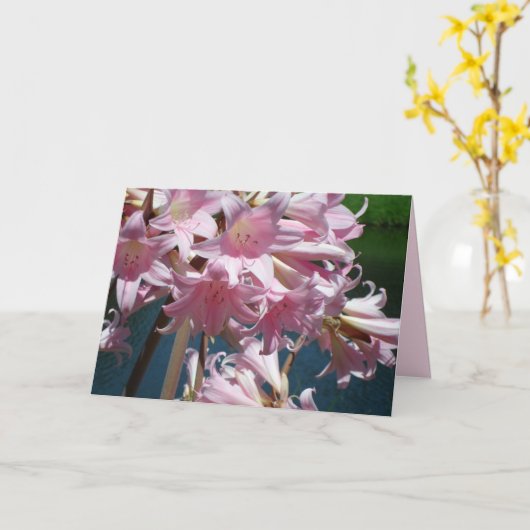 Schöne Pink Lilies Karte (Gelbe Blume)