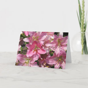Schöne Pink Lilies Karte