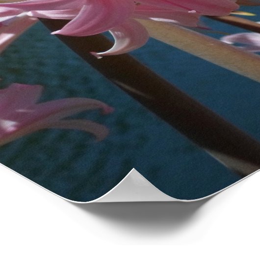 Schöne Pink Lilies Poster (Ecke)