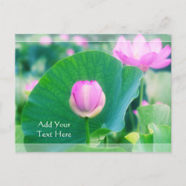 Schöne Pink Lotus Bud Blume Grünes Leaf Blossom Postkarte