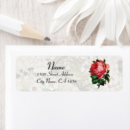 SCHÖNE PINK ROSE (Insitu)