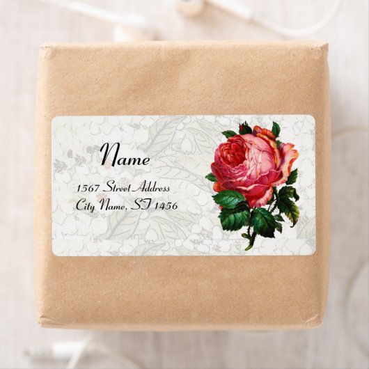 SCHÖNE PINK ROSE (Insitu)