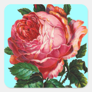 SCHÖNE PINK ROSE QUADRATISCHER AUFKLEBER