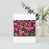 SCHÖNE PINK TULIPS POSTKARTE (Stehend Vorderseite)