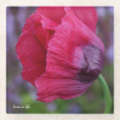 Schöne PInk und Lila Poppy-Blume Glasuntersetzer (Vorderseite)