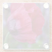 Schöne PInk und Lila Poppy-Blume Glasuntersetzer (Rückseite)
