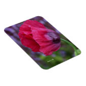 Schöne PInk und Lila Poppy-Blume Magnet (Rechte Seite)