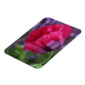 Schöne PInk und Lila Poppy-Blume Magnet (Linke Seite)