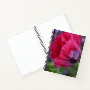 Schöne PInk und Lila Poppy-Blume Notizblock