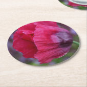 Schöne PInk und Lila Poppy-Blume Runder Pappuntersetzer (Angewinkelt)
