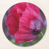 Schöne PInk und Lila Poppy-Blume Runder Pappuntersetzer (Vorderseite)