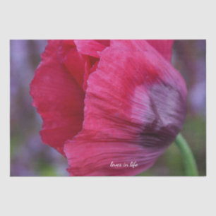 Schöne PInk und Lila Poppy-Blume Seidenpapier