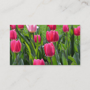 schöne pinkfarbene Tulpe Blume. Gartenblume Visitenkarte