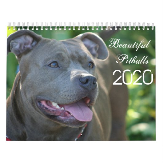 Schöne Pitbulls 2020 Hundekalender Kalender (Titelbild)