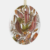 Schöne Pitcher-Pflanze gezeichnet von Haeckel Keramik Ornament (Rechts)