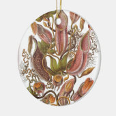 Schöne Pitcher-Pflanze gezeichnet von Haeckel Keramik Ornament (Links)