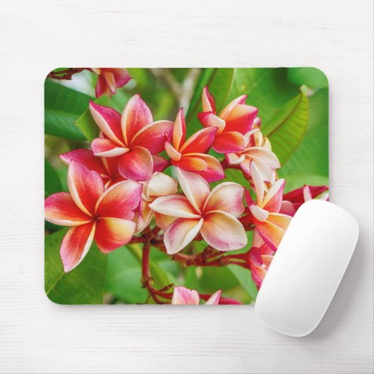 Schöne Plumeria-Blume Mousepad (Mit Mouse)