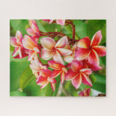 Schöne Plumeria-Blume Puzzle (Horizontal)