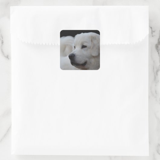 Schöne polnische Tatra Sheepdog Sticker (Tasche)