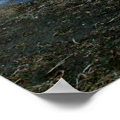 Schöne Poster (Ecke)