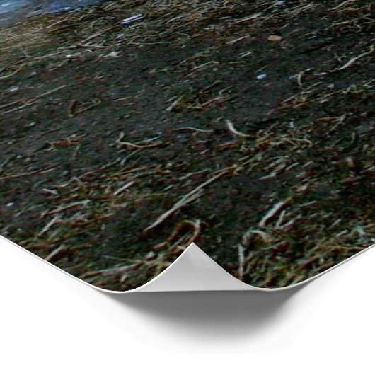 Schöne Poster (Ecke)