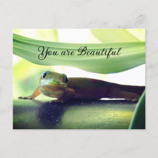 Schöne Postkarte