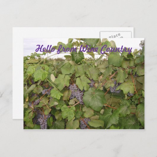 Schöne Postkarte (Vorne/Hinten)