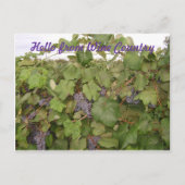 Schöne Postkarte (Vorderseite)