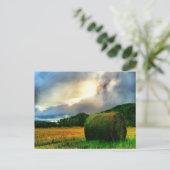 Schöne Postkarte eines Heufelds (Stehend Vorderseite)