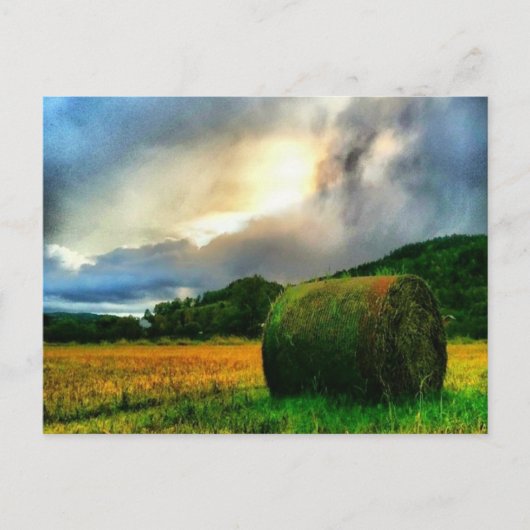 Schöne Postkarte eines Heufelds (Vorderseite)