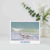 Schöne Postkarte von Clearwater Beach Florida (Stehend Vorderseite)