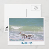 Schöne Postkarte von Clearwater Beach Florida (Vorne/Hinten)