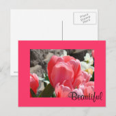Schöne Postkarten Pink Spring Tulip Blume (Vorne/Hinten)