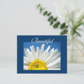 Schöne Postkarten Weiße Daisy Blume Postkarten (Stehend Vorderseite)