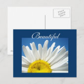 Schöne Postkarten Weiße Daisy Blume Postkarten (Vorne/Hinten)