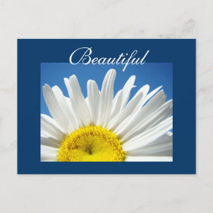Schöne Postkarten Weiße Daisy Blume Postkarten