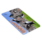 Schöne Puffin-Schrift Magnet-Sprichwörter 22:6 Magnet (Rechte Seite)
