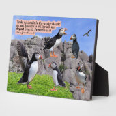 Schöne Puffin Scripture Plaque Proverbs 22:6 Fotoplatte (Seite)