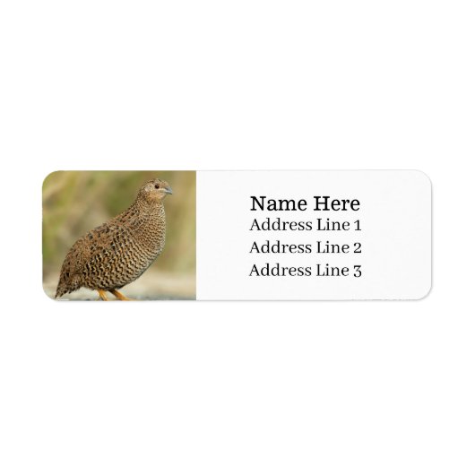 Schöne Quail Bird-Rücksendeadresse (Vorne)