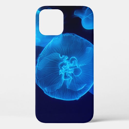 SCHÖNE QUALLE Case-Mate iPhone HÜLLE (Rückseite)