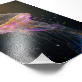 Schöne Qualle Fotodruck (Ecke)