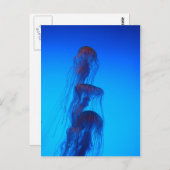 Schöne Quallenpostkarte Postkarte (Vorne/Hinten)