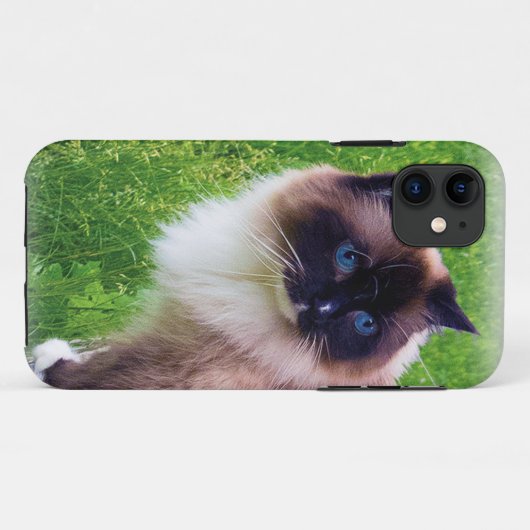 Schöne Ragdoll Katze Case-Mate iPhone Hülle (Rückseite (Horizontal))