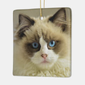 Schöne Ragdoll Katze mit blauen Augen Keramikornament (Links)