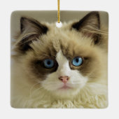 Schöne Ragdoll Katze mit blauen Augen Keramikornament (Rückseite)